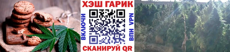 кракен ONION  Сертолово  Еда ТГК марихуана 