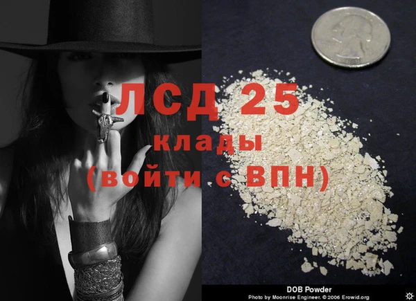 a pvp Аркадак