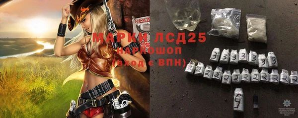 a pvp Аркадак