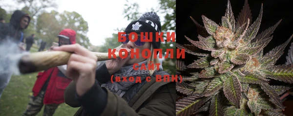 a pvp Аркадак