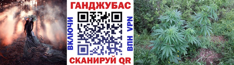 Конопля семена хочу Сертолово